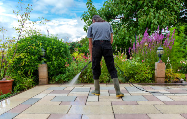Trusted Northview, MI Pressure Washing Services Experts